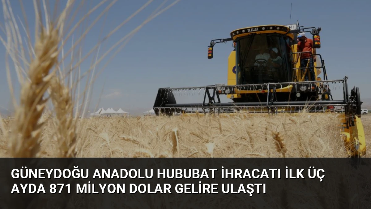 Güneydoğu Anadolu Hububat İhracatı İlk Üç Ayda 871 Milyon Dolar Gelire Ulaştı