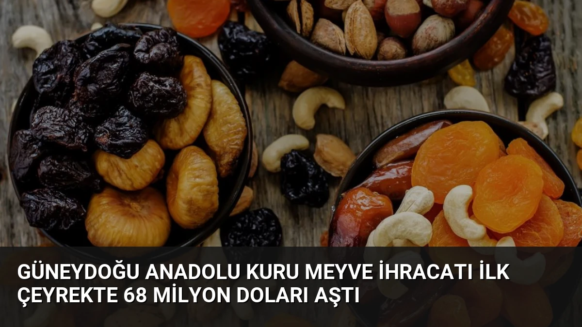 Güneydoğu Anadolu Kuru Meyve İhracatı İlk Çeyrekte 68 Milyon Doları Aştı