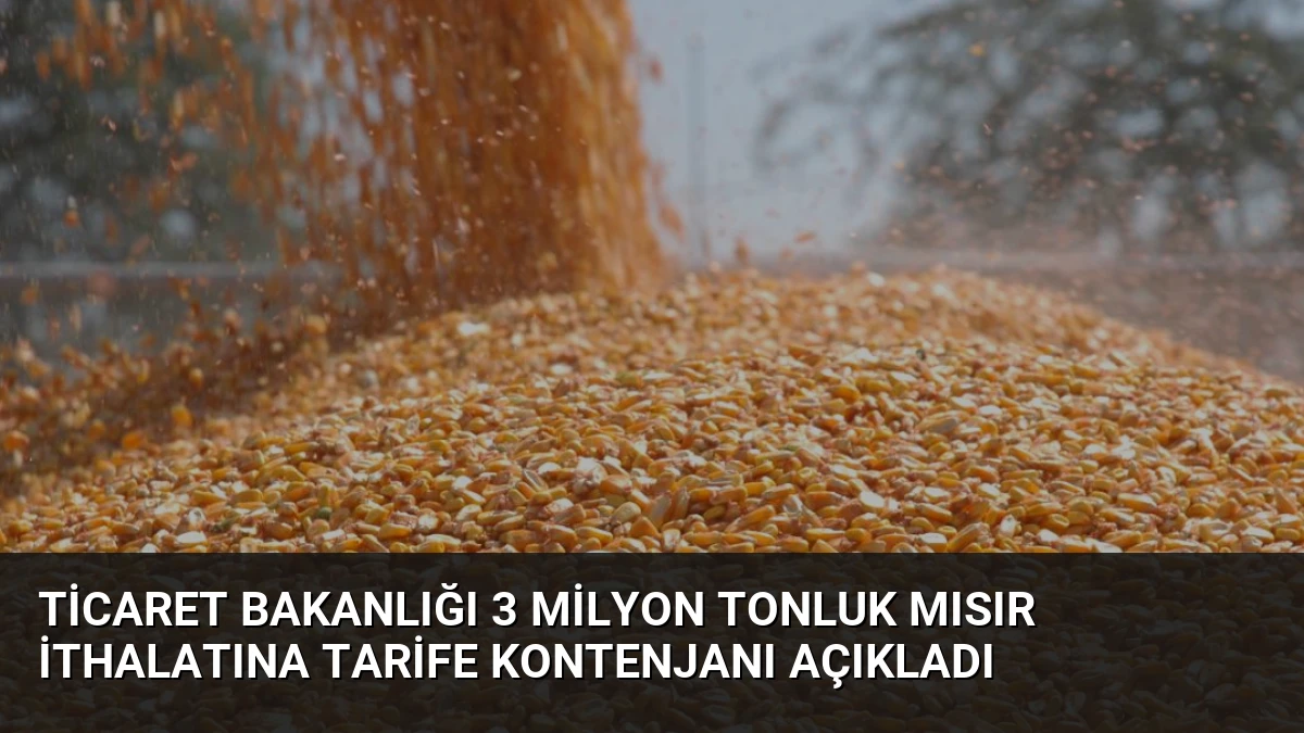 Ticaret Bakanlığı 3 Milyon Tonluk Mısır İthalatına Tarife Kontenjanı Açıkladı