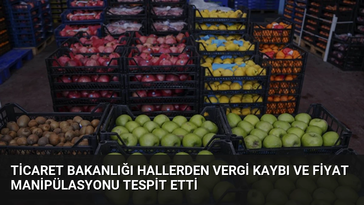 Ticaret Bakanlığı Hallerden Vergi Kaybı ve Fiyat Manipülasyonu Tespit Etti