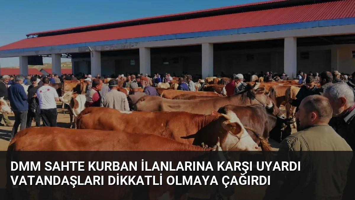 DMM Sahte Kurban İlanlarına Karşı Uyardı Vatandaşları Dikkatli Olmaya Çağırdı