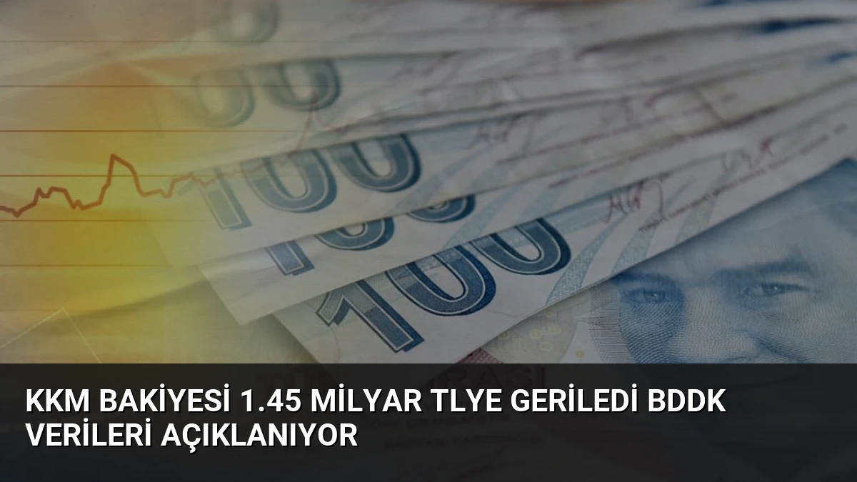 KKM Bakiyesi 1.45 Milyar TLye Geriledi BDDK Verileri Açıklanıyor