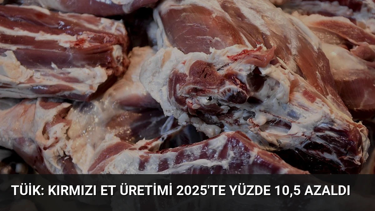 TÜİK: Kırmızı Et Üretimi 2025’te Yüzde 10,5 Azaldı