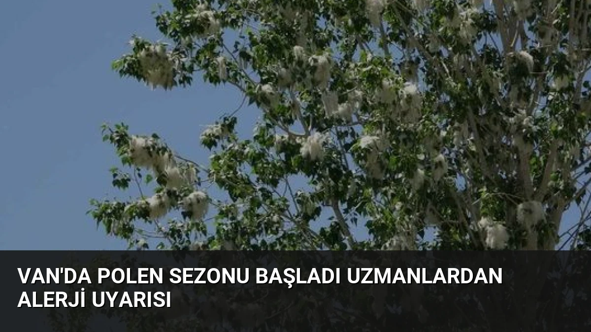 Van’da Polen Sezonu Başladı Uzmanlardan Alerji Uyarısı