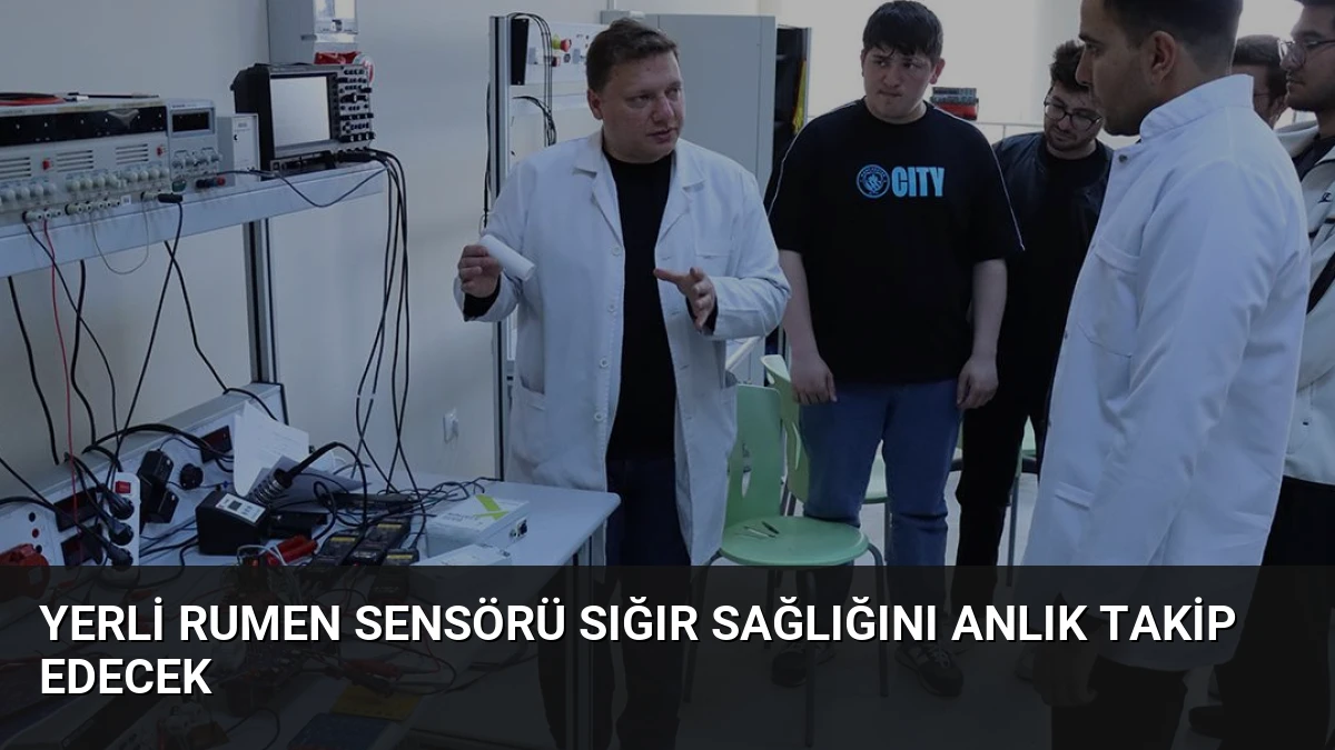 Yerli Rumen Sensörü Sığır Sağlığını Anlık Takip Edecek