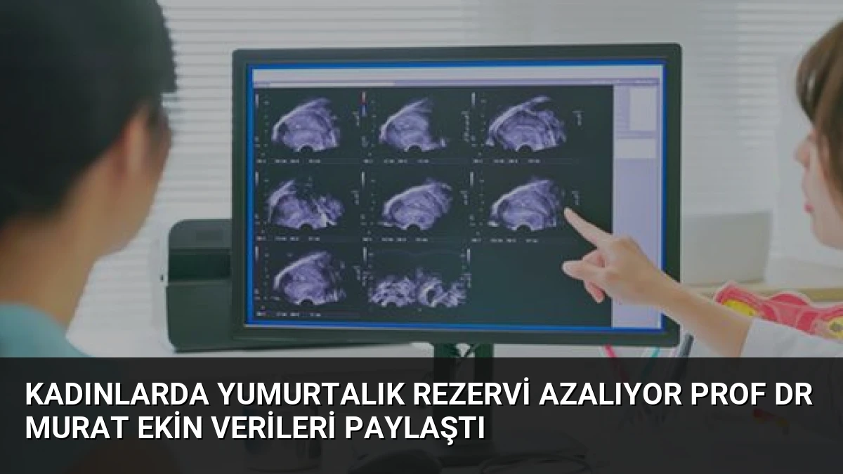 Kadınlarda Yumurtalık Rezervi Azalıyor Prof Dr Murat Ekin Verileri Paylaştı