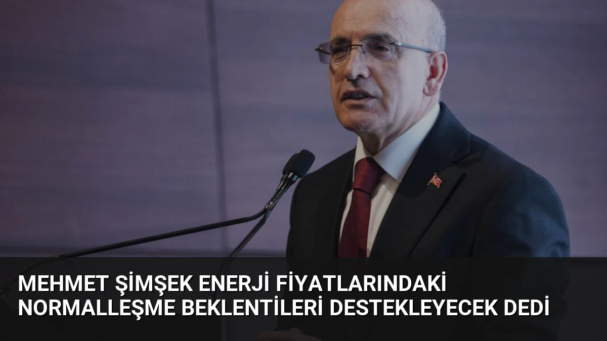 Mehmet Şimşek Enerji Fiyatlarındaki Normalleşme Beklentileri Destekleyecek Dedi