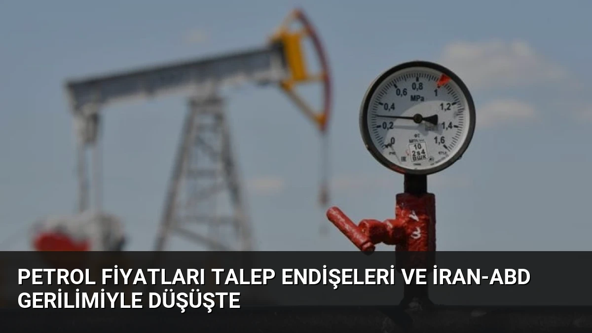 Petrol Fiyatları Talep Endişeleri ve İran-ABD Gerilimiyle Düşüşte
