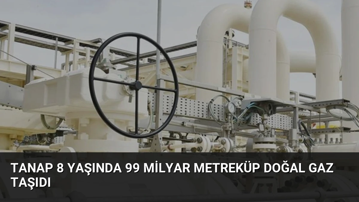 TANAP 8 Yaşında 99 Milyar Metreküp Doğal Gaz Taşıdı