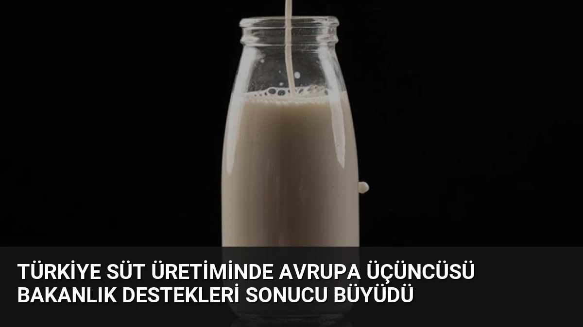 Türkiye Süt Üretiminde Avrupa Üçüncüsü Bakanlık Destekleri Sonucu Büyüdü