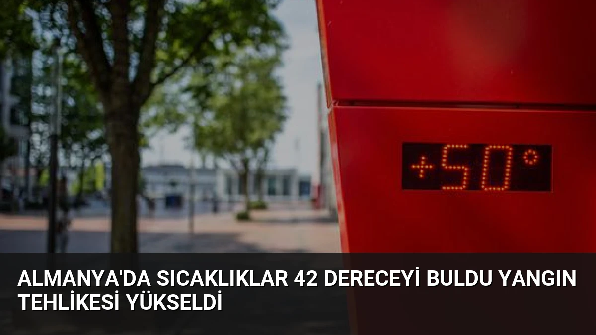 Almanya’da Sıcaklıklar 42 Dereceyi Buldu Yangın Tehlikesi Yükseldi
