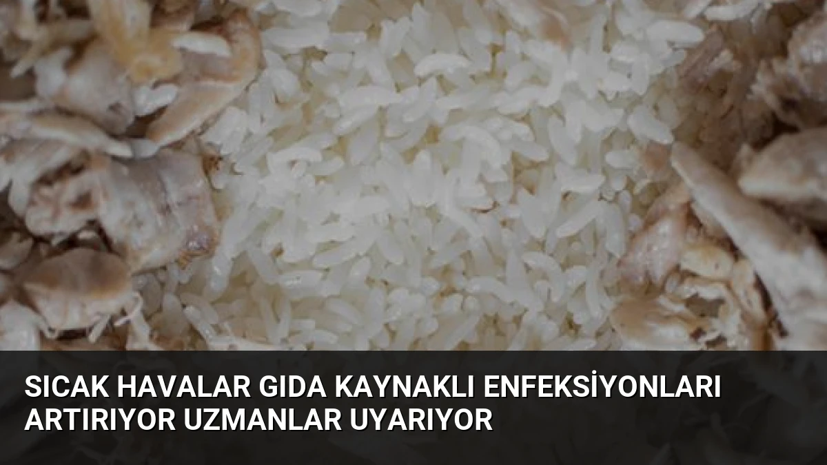 Sıcak Havalar Gıda Kaynaklı Enfeksiyonları Artırıyor Uzmanlar Uyarıyor