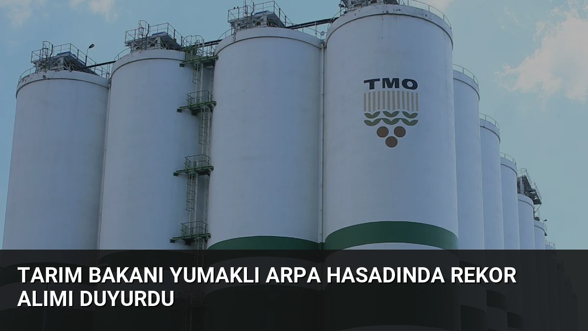 Tarım Bakanı Yumaklı Arpa Hasadında Rekor Alımı Duyurdu