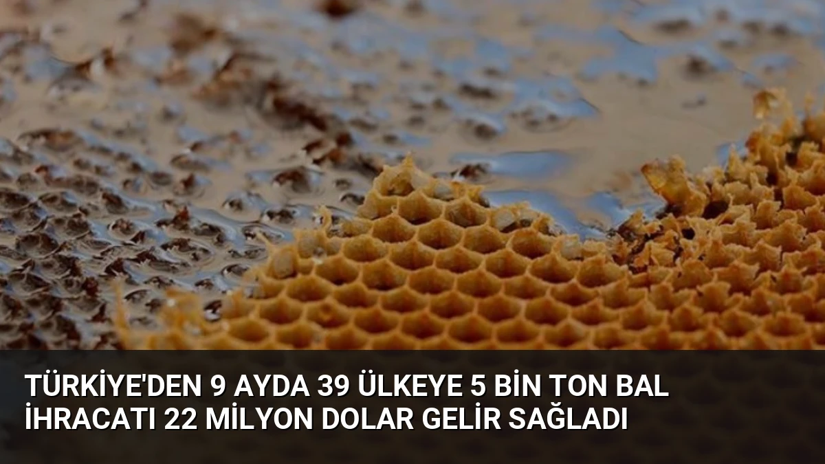 Türkiye’den 9 Ayda 39 Ülkeye 5 Bin Ton Bal İhracatı 22 Milyon Dolar Gelir Sağladı